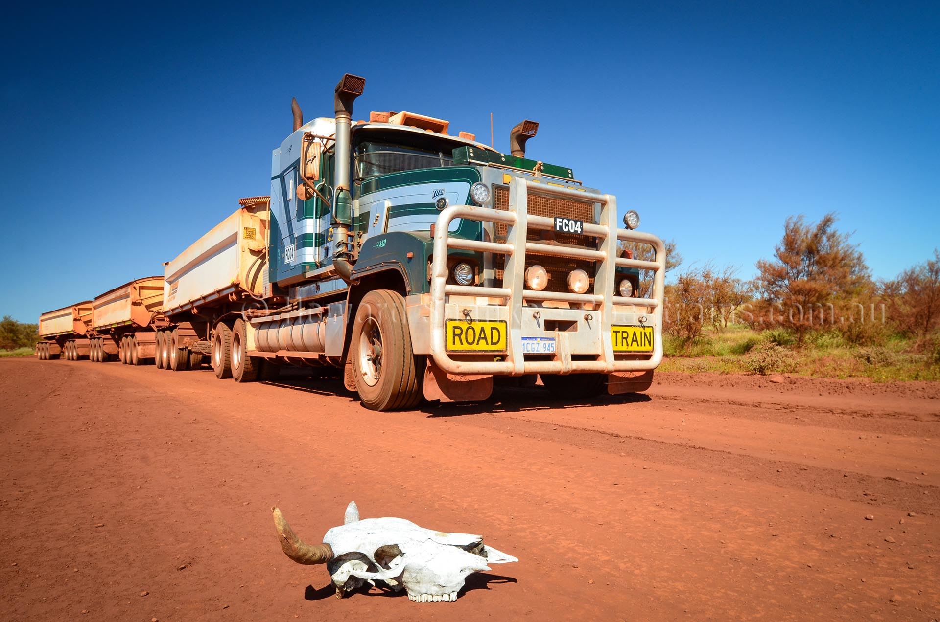 australian road train truck driver